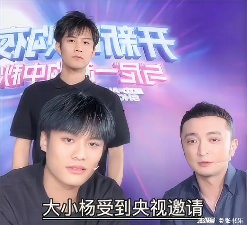 杨哥食材爆料视频,揭秘厨房里的秘密食材  第2张