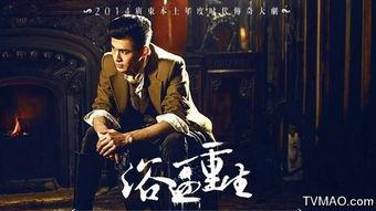 浴血重生全集在线观看,全集在线观看，揭秘英雄浴火重生的传奇历程  第2张