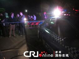 警戒线在线观看,揭秘在线观看背后的安全防线  第2张