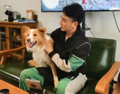 林生斌内部爆料视频,事件背后惊人真相